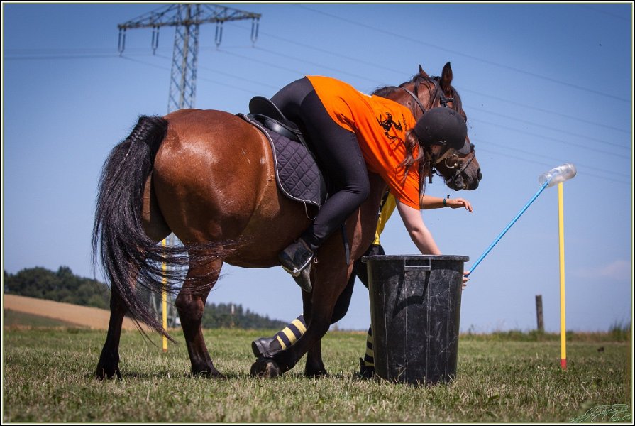 Mounted Games 201